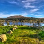 Burrator Horseshoe Fell Race