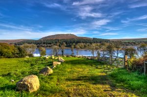 Burrator Horseshoe Fell Race