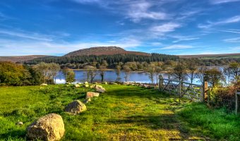 Burrator Horseshoe Fell Race